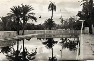 Colomb bechar 507- Piscine COLLECTION DES AMIS DE ND DE SANTA CRUZ